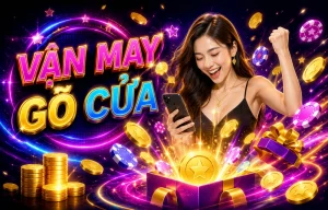 fv88in promotion details on mobile
